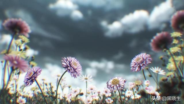 命运冠位塞弥拉弥斯,命运冠位指定终局特异点多久出