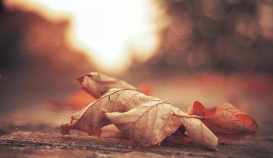 四个人的友情总有一个人多余,三人的友情总有一个人是多余的