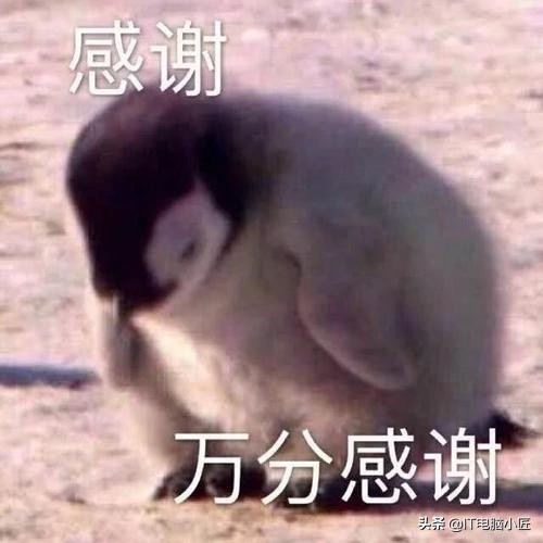 电脑蓝屏死机是什么地方出了问题,电脑蓝屏死机主要原因有哪些