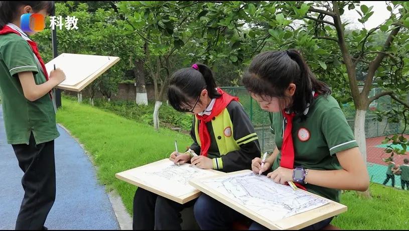 重庆九龙坡区人和小学视频,人和小学重庆九龙坡区