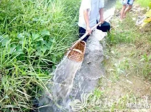 你认识“戽斗”吗？潮汕的小伙伴都蒙圈了！这是是啥？