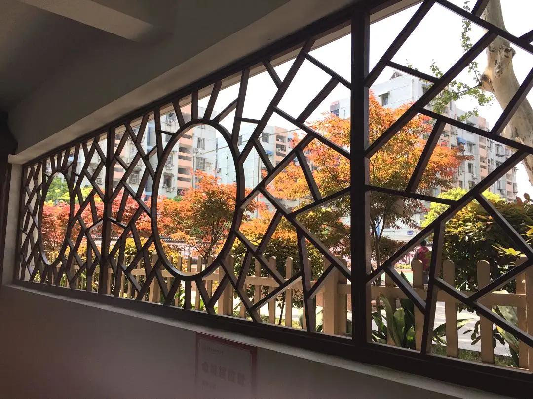 最美的风景美丽的校园,最美的风景就是校园