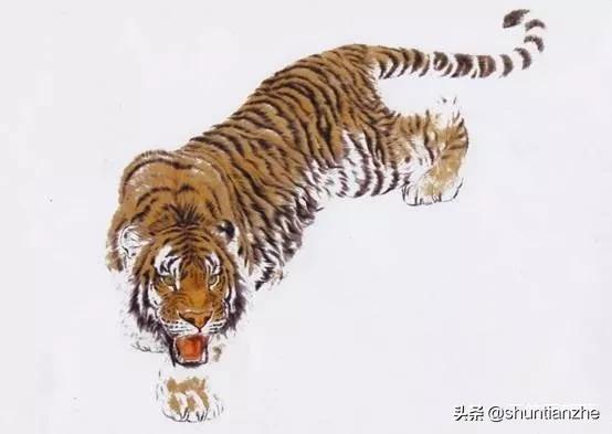 工笔老虎技法教学视频,工笔老虎胸毛的撕毛法