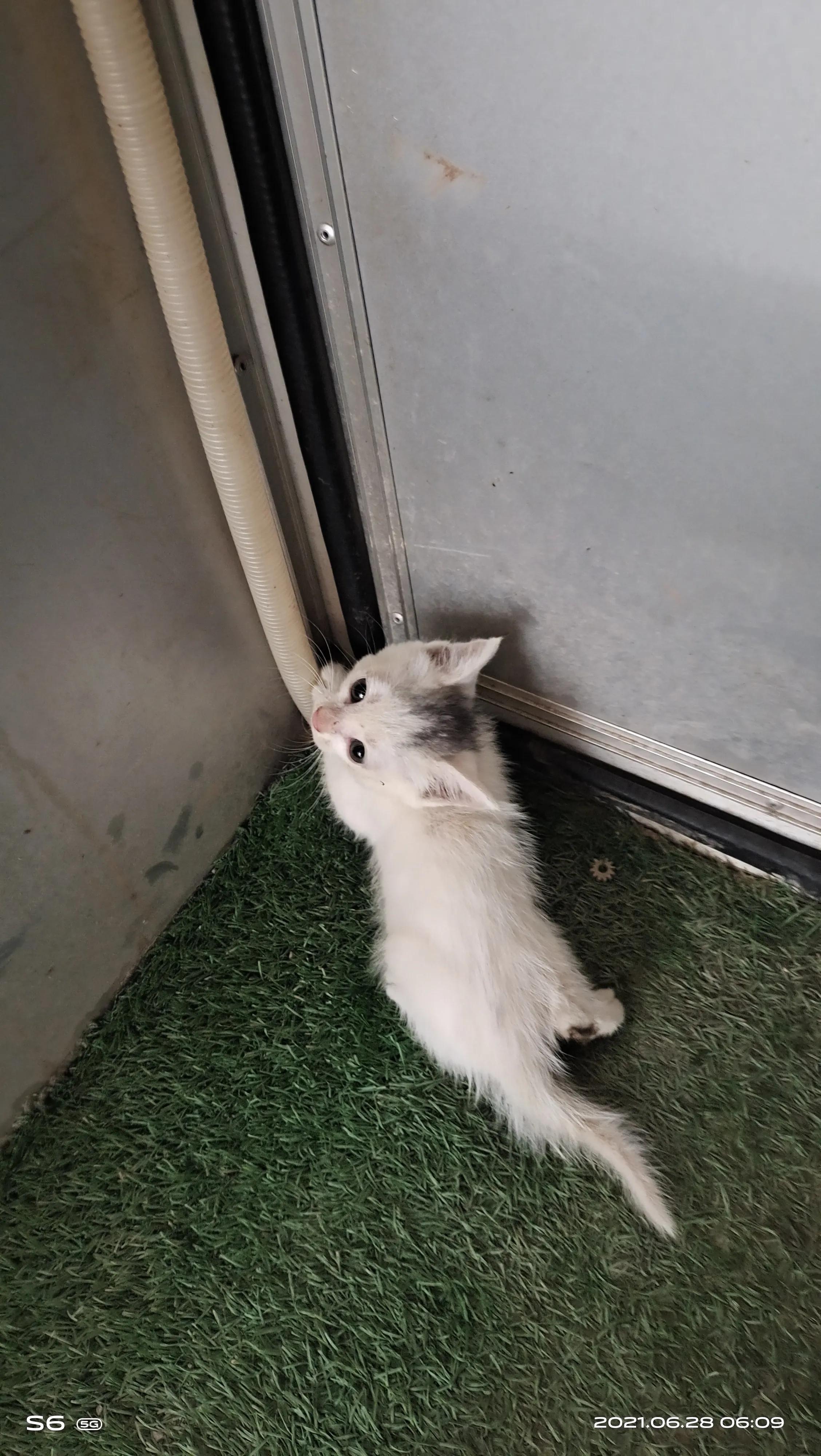 记录工地塔吊司机日常生活,工地电梯升降机司机生活