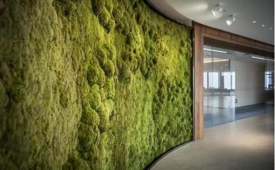 深圳华润春笋大厦最早效果图,深圳华润大厦原设计图