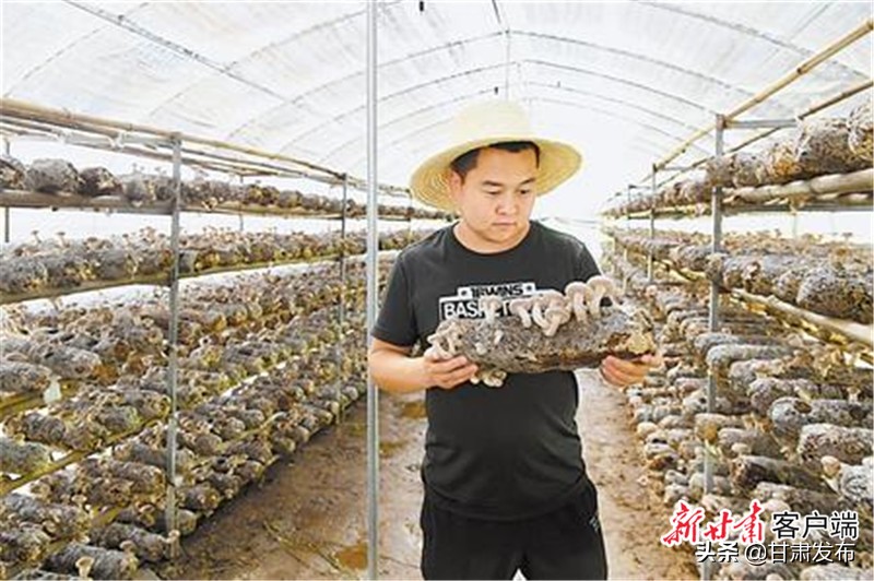 幸福美好的小康生活,小康新时代幸福生活