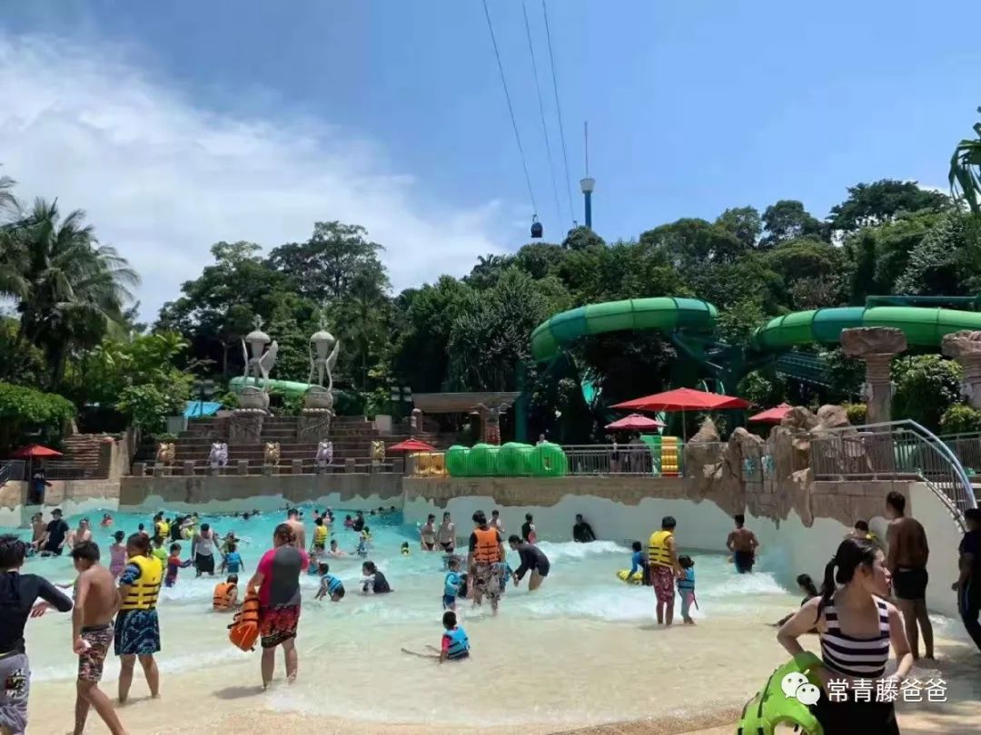 十一新加坡,十一游学新加坡