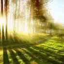 被丈夫暴打的她离家出走活出了自己的精彩，之后又把女儿接到身边