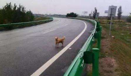 祖坟被别人挖路埋了怎么办,祖坟被人埋了怎么办