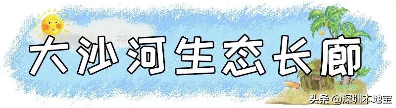 深圳有哪些地方免费景点,深圳都有什么景点免费游玩