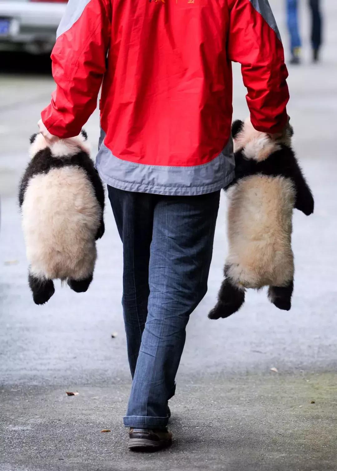 你才可爱你全家都可爱怎么回,你才可爱你全家都可爱出处