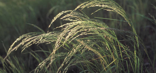 东部非省会第一城,东部非省会城市