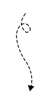 一年一度双十一来了完整版,最全双十一攻略