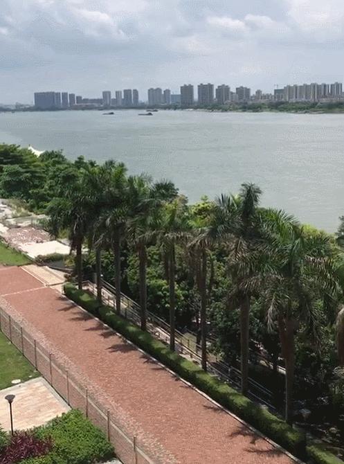 园洲东江府楼盘,惠州园洲东江府房价最新