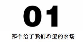 危机四伏！那个最早进场年入3000万的有机农场到底怎么了