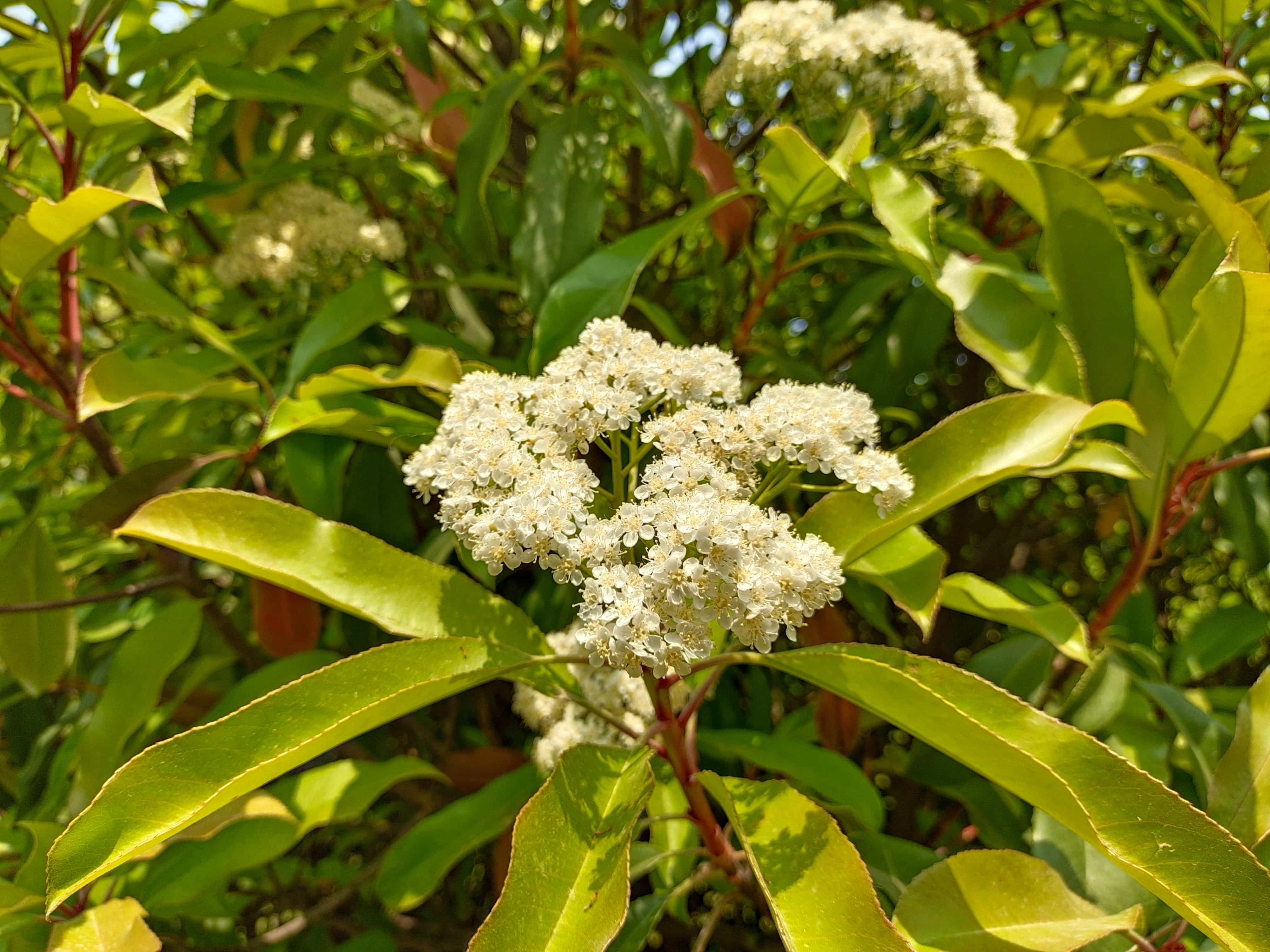 vivos6评测玩游戏,vivos6无信号