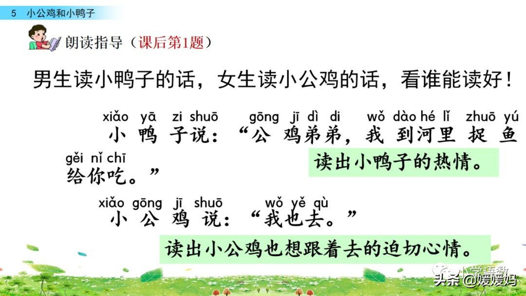 一年级小公鸡和小鸭子仿写句子,一年级小公鸡和小鸭子的看图写话