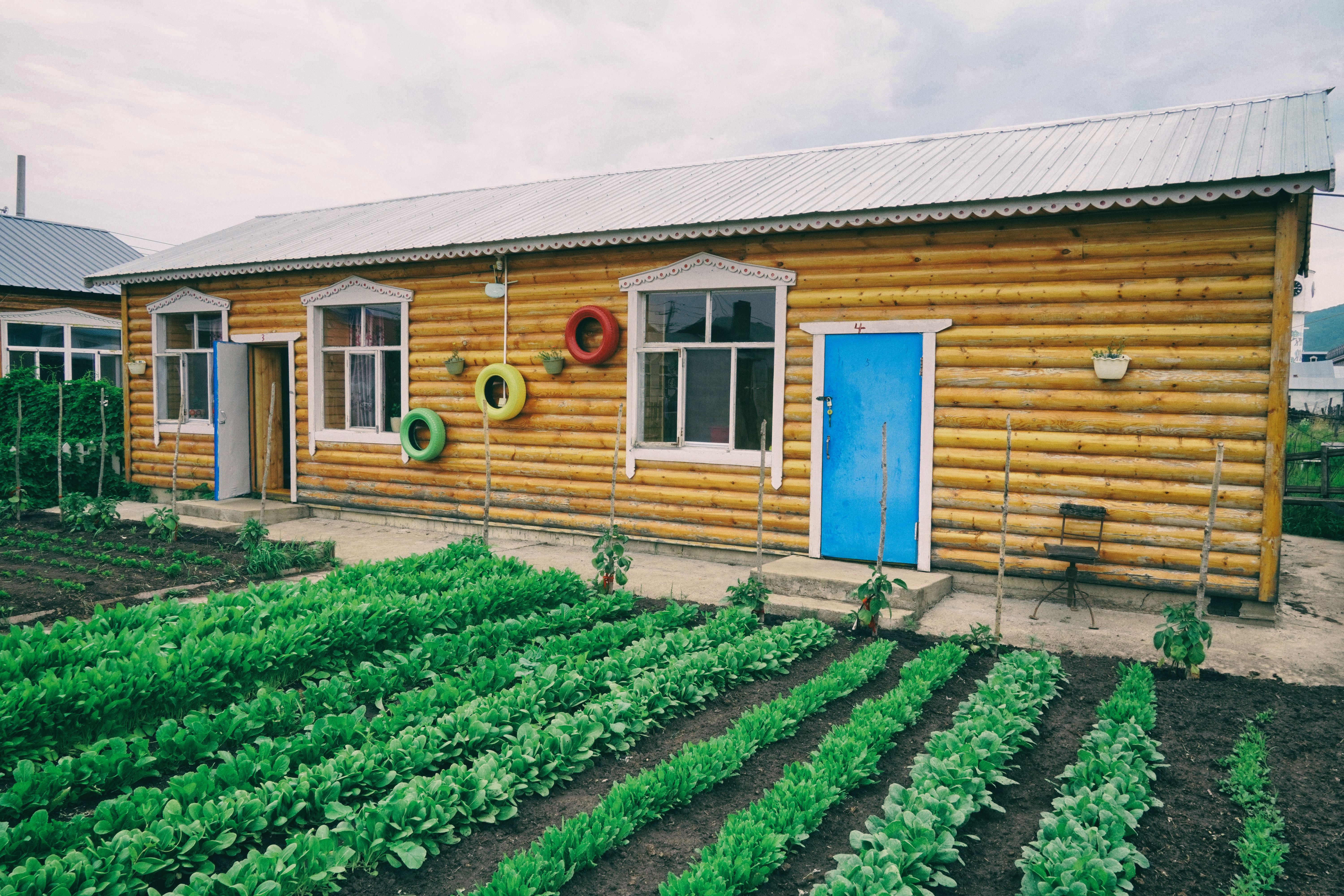 东北边疆,东北行游记2019