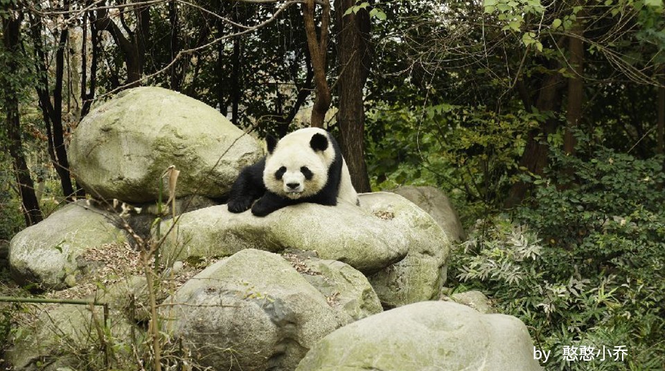 因为你们，“爱豆”的世界离我们不再远咯