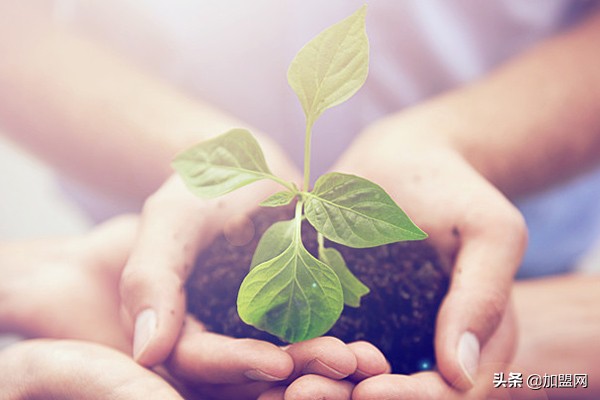 适合兼职的十大副业排行榜,适合销售兼职的十大副业