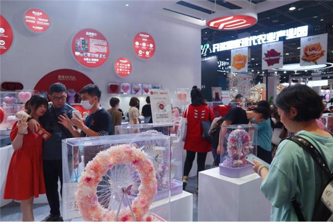 让人惊艳的花展,花展上看到的美到窒息