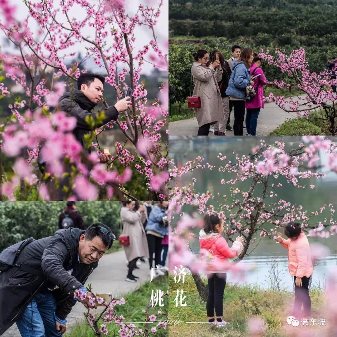 花开十五载,花开十五载筑梦新未来