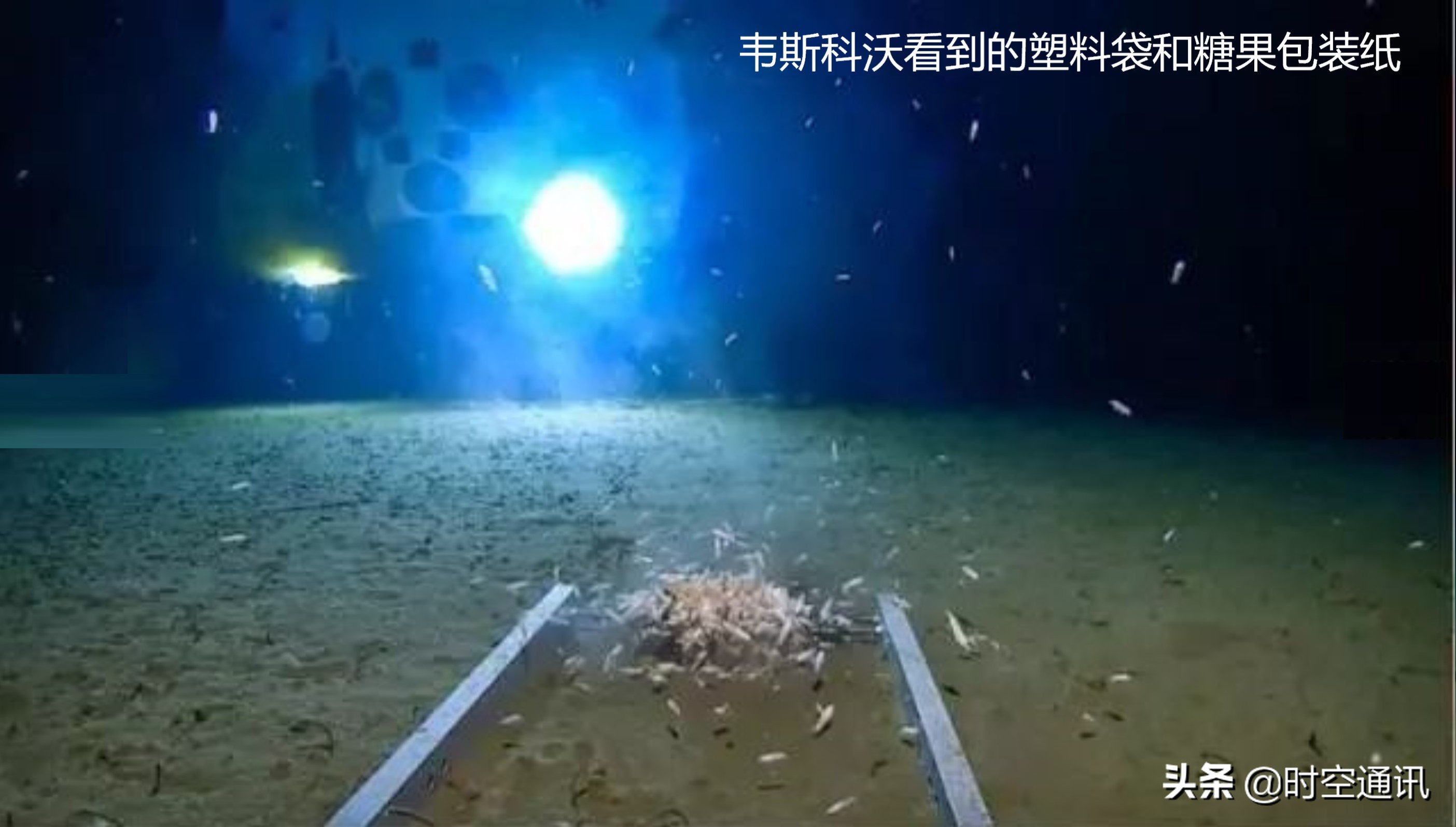 在地球上发现奇怪的地方,在地球上发现极端生物