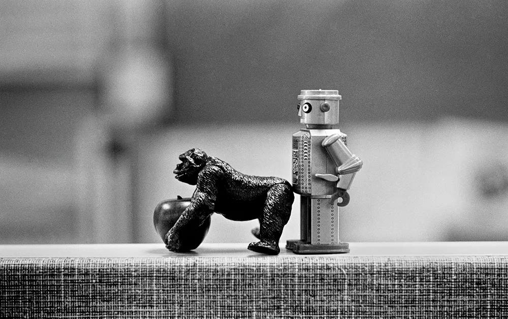 新书 | 首次曝光！“*底卧**”15年拍下250000张照片，他只选了这100张