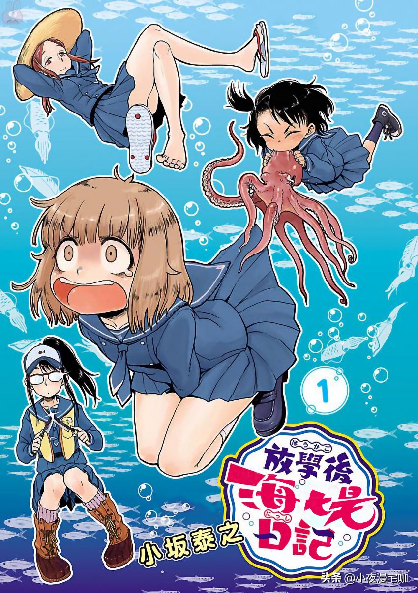 女主钓上个绅士八爪鱼，它被做成生鱼片不冤！《放学后海堤日记》