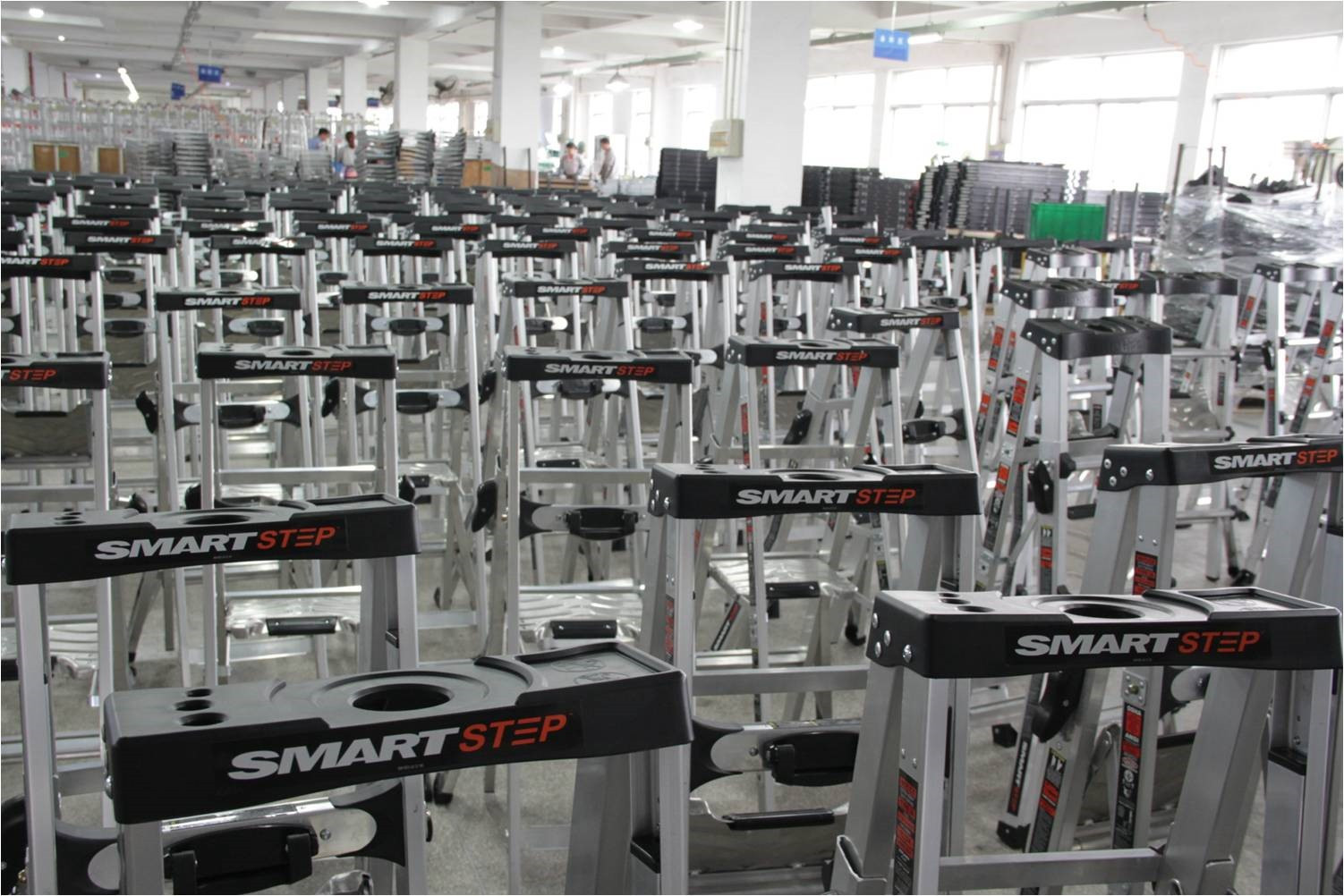 苏州弗莱恩集团:“85后”美女少帅,执掌亿万铝梯帝国走向世界