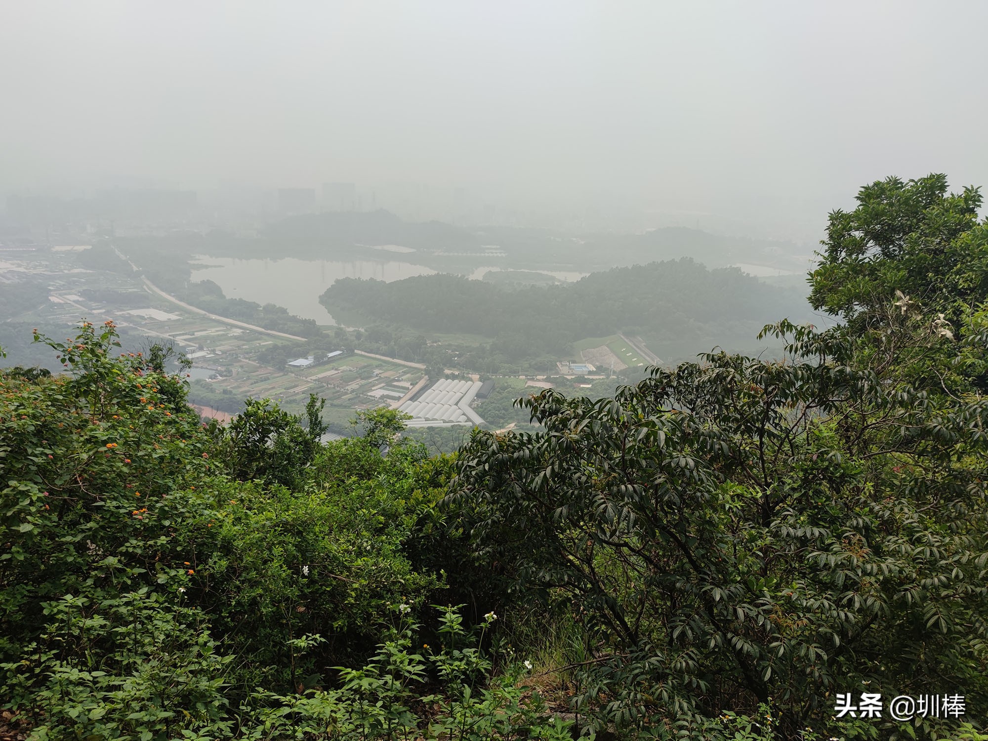 深圳最长的海岸线爬山攻略,凤凰山适合老人孩子的爬山攻略