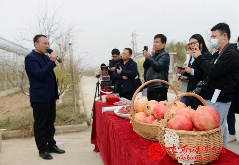 渭南市最新新闻事件,渭南本地事最新消息