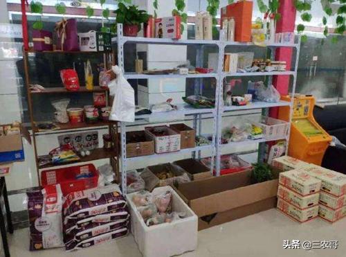 乡村干什么最有前景赚钱,农民打工最赚钱的方法排行榜