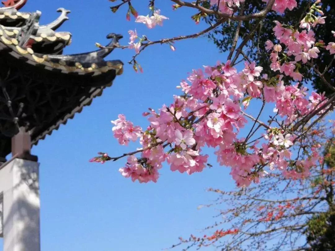 广州三八妇女节特惠景点晚上,广州哪里有三八妇女节免费景点