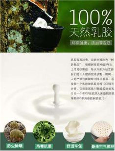 真正的泰国品牌乳胶枕,泰国畅销乳胶枕