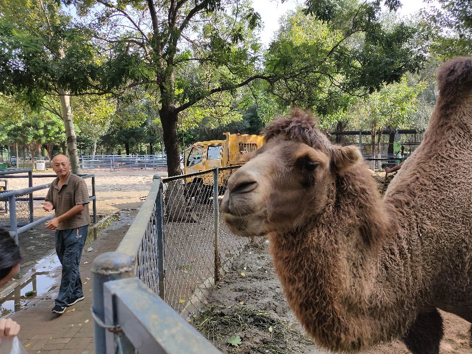 沈阳优待证免费的景点,沈阳70岁以上免费景点