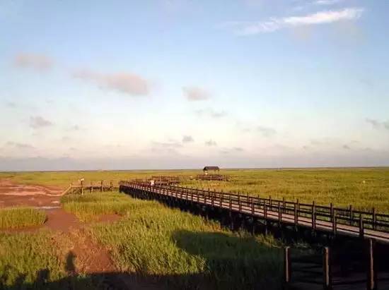 这才是上海最好的牛肉面,近期上海最牛的区