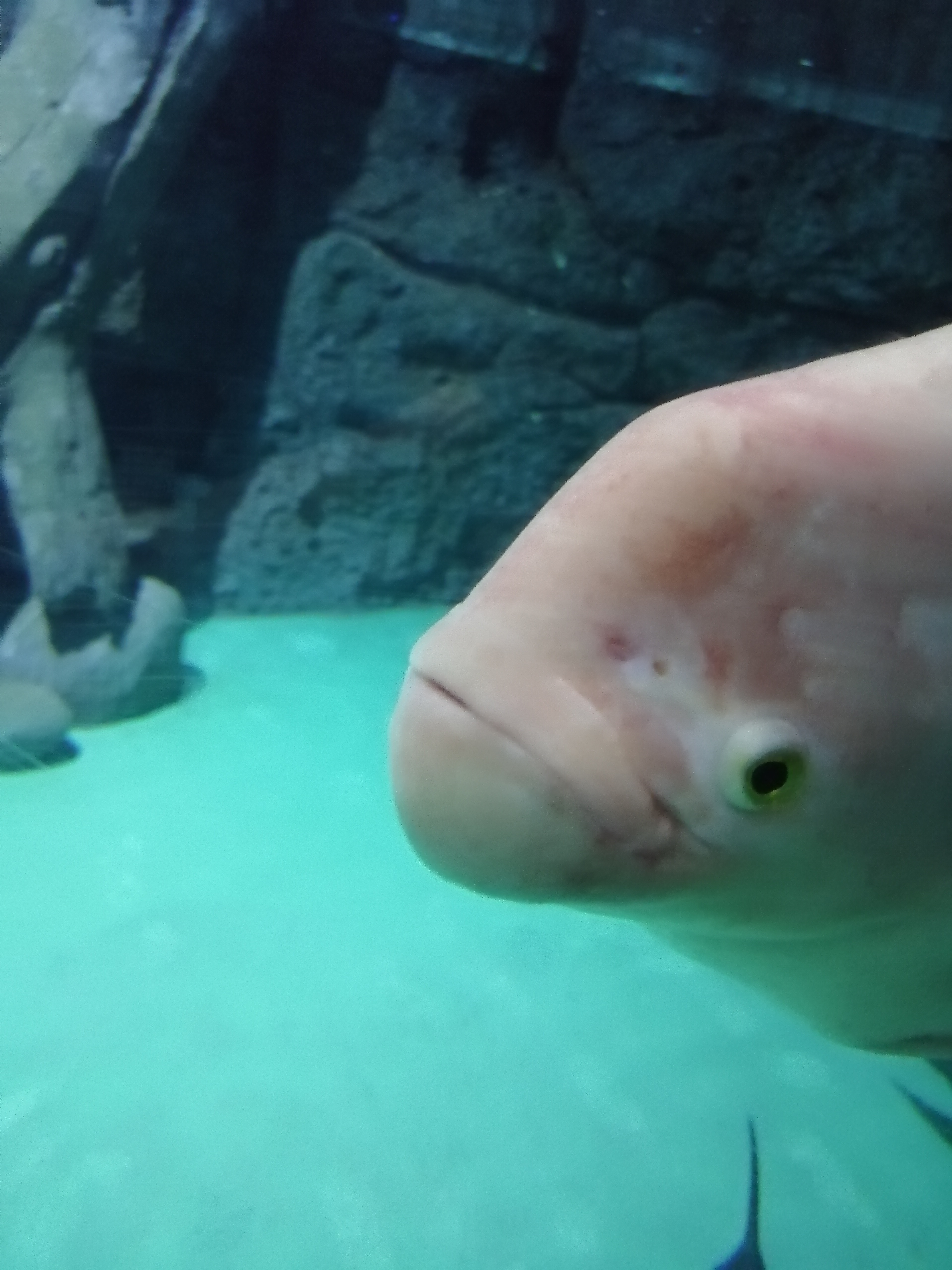 常州金鹰海洋世界19.9元,常州金鹰海洋世界开业