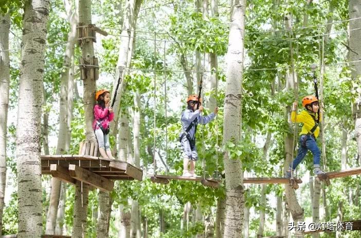 如何避免体育课中的安全风险,如何做好体育课安全防范工作