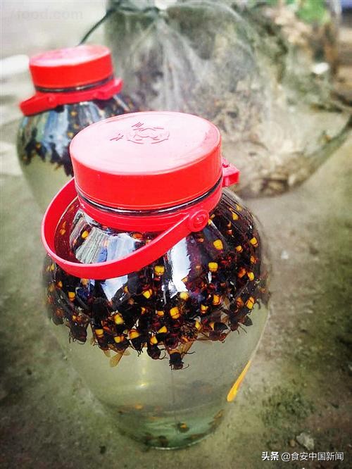 保健酒处罚依据,保健酒加伟哥新闻