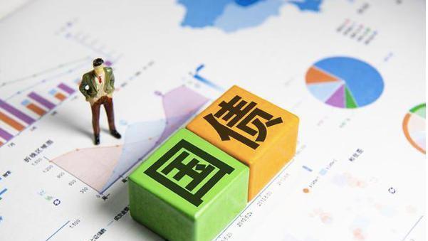 国债是什么意思有没有投资风险,国债什么意思有风险吗