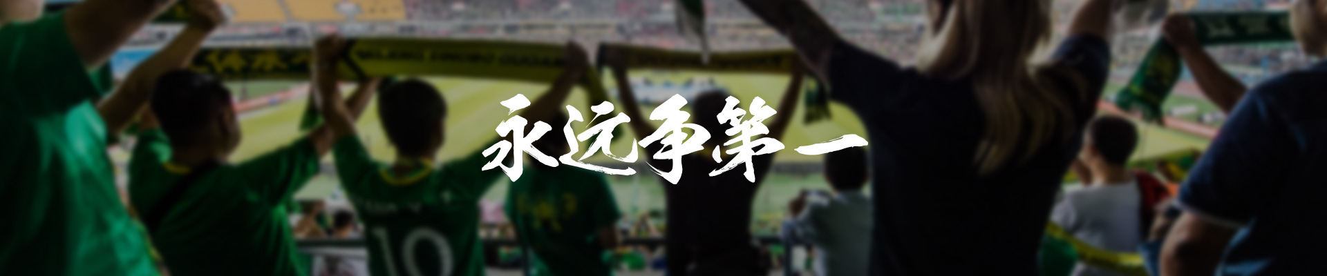 北京国安足球队队标,北京国安2024队标