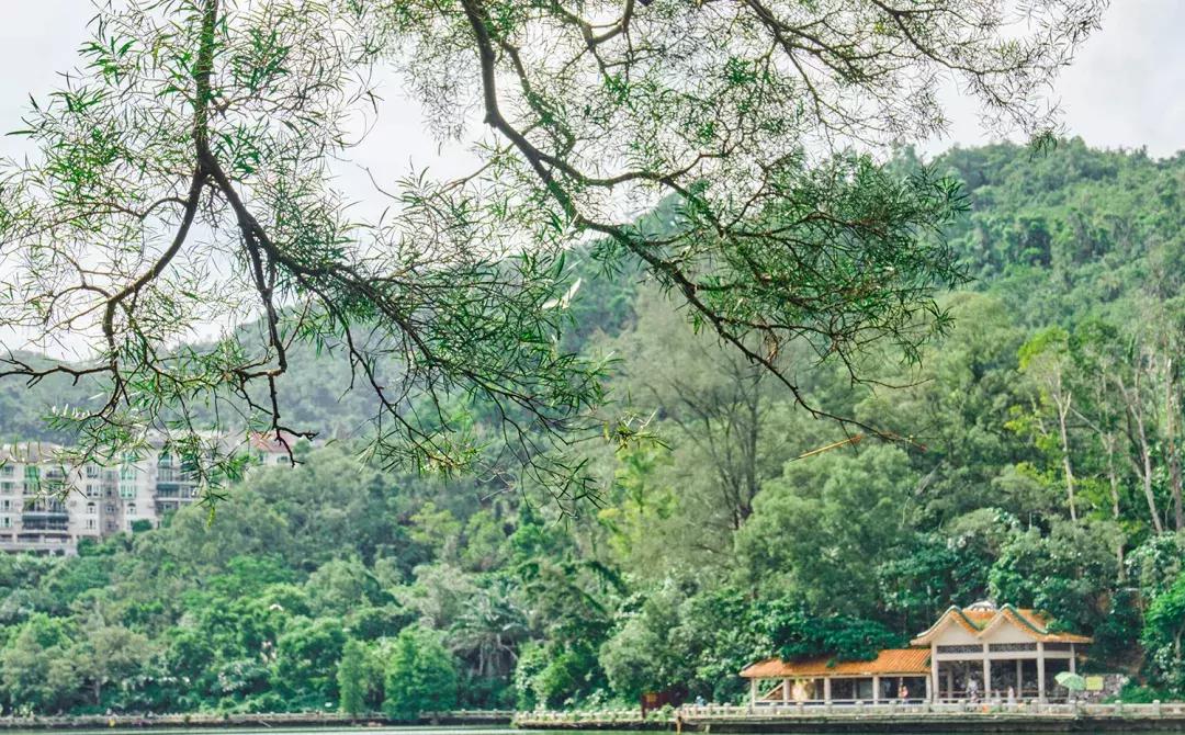 深圳银湖山游玩,深圳银湖有什么好玩的地方