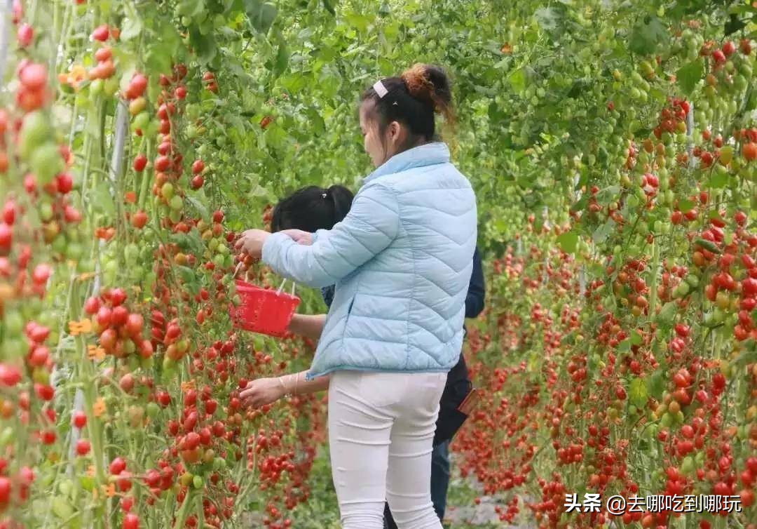 69.9抢惠州罗浮山漂流门票89元抢漂流门票+空中田园