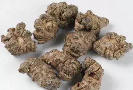 优质三七怎么辨别,辨别三七真假视频