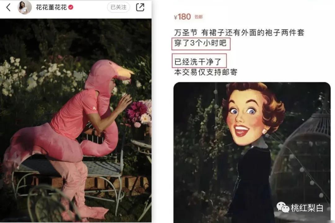 章泽天与董花花关系,章泽天和董花花什么关系