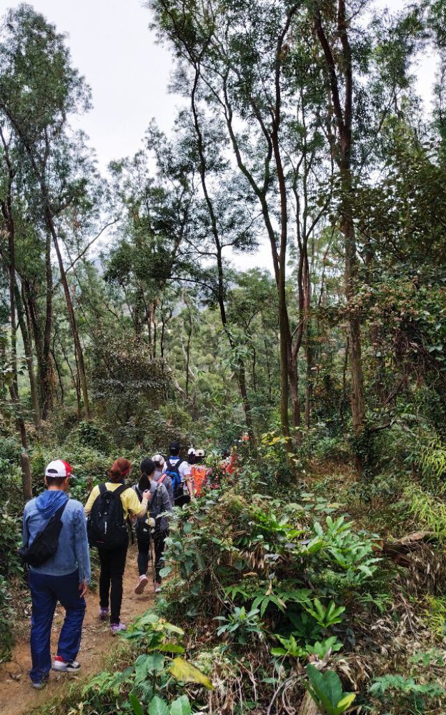 周日跟随珠海户外网板樟山游记