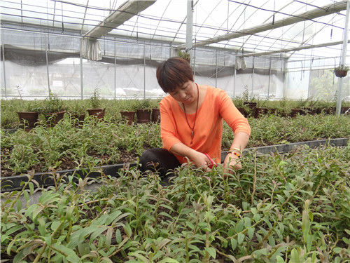 创业女性80后,浙江80后女人创业案例