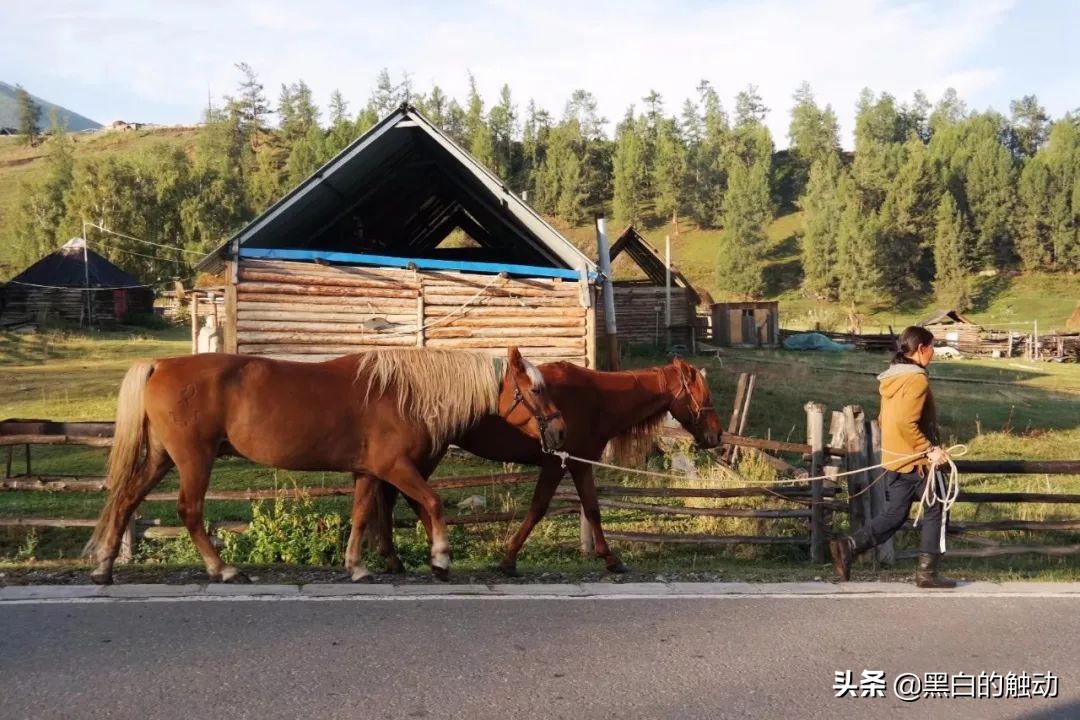 都说新疆好去新疆发展可靠么,都说新疆好地方