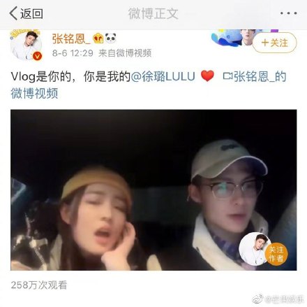 第三届超级企鹅,超级企鹅赛